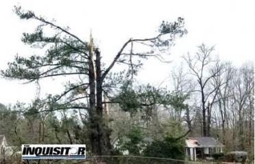 Four fatalities and miles of damage following storm Four fatalities and miles of damage following storm