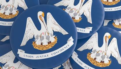 Louisiana constitutional amendments on Nov. 8 ballot: Here's what they mean