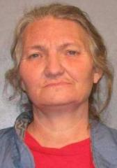 SUSAN JOHNSTON Previously convicted of: 14:81.2 - Molestation of Juvenile Article Image Alt Text