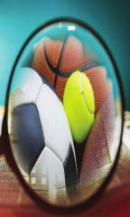 FOCUS ON SPORTS