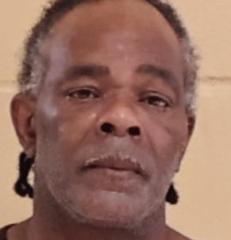 DOMESTIC VIOLENCE ARRESTS